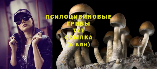 дмт Касимов