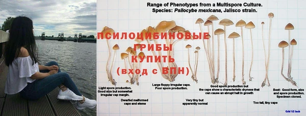 прущая мука Киренск