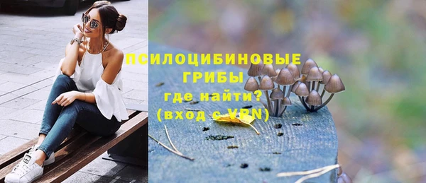 гидропоника Белокуриха