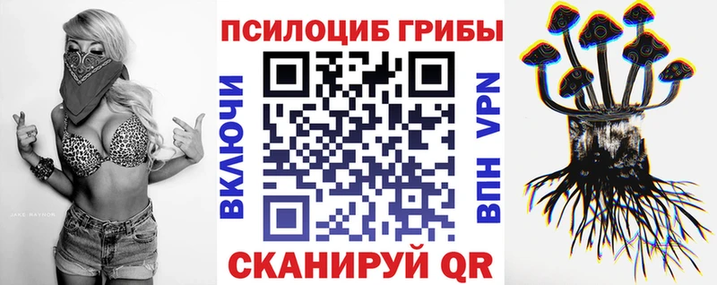 Галлюциногенные грибы мухоморы  Волосово 